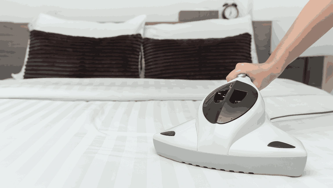 Professional Mattress Cleaning Dingley Village